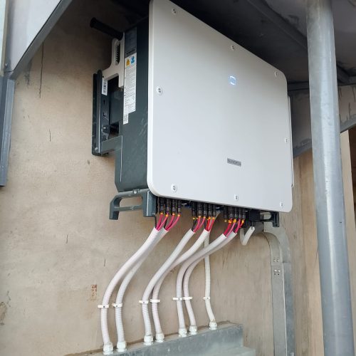 WhatsApp Image 2025-10-28 at 8.25.02 PM